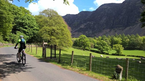 A cyclist rides down a quiet lane, next to a green pasture with grazing sheep, green trees and rocky fells rising above them, in Wasdale, Lake District